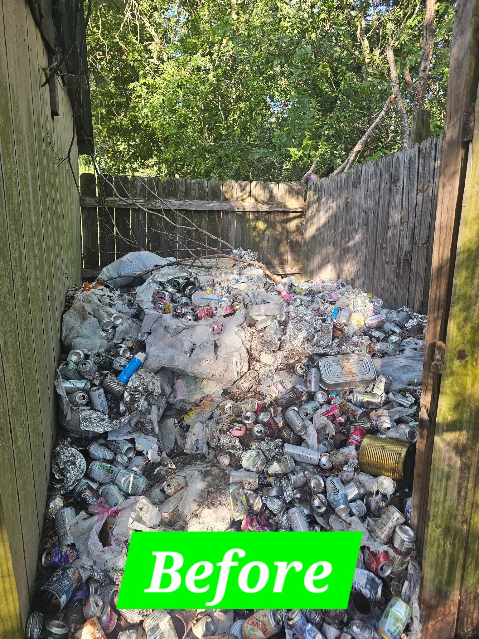 Backyard Junk Pile — Before